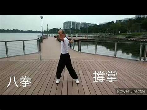 白鶴派|白鶴拳